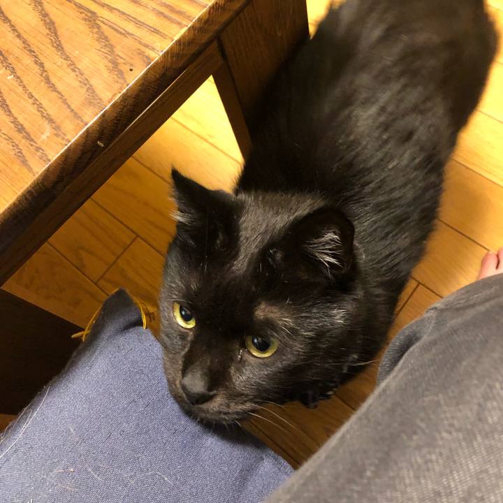 E01d3b22 55df 402a be12 b5154ecfada0 1576575410669