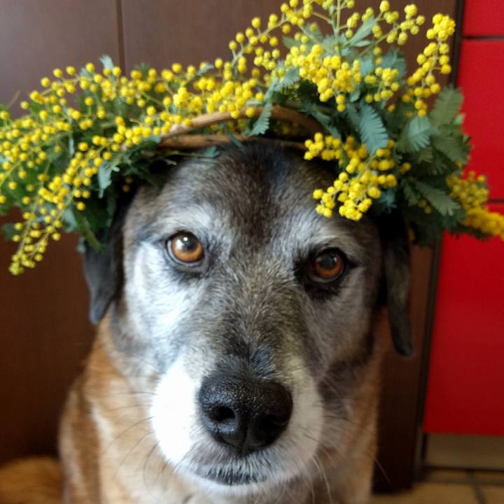 E01d6492 1643 404c a437 3f341a1079a9 1520387615063