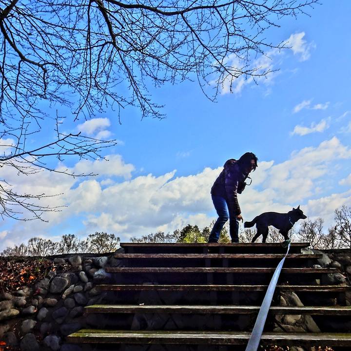 E01d7148 b76e 4f48 b6eb 336831adbf6a 1558353691374