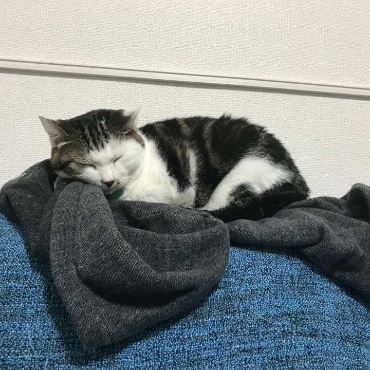 E01d879a bdea 49c2 8301 3814ab953029 1526353693071