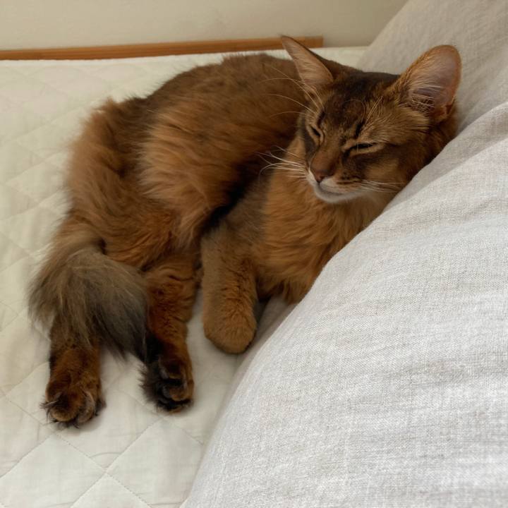 E01da699 8cdc 48ad 97f7 cb1c41b2fe12 1620198437981