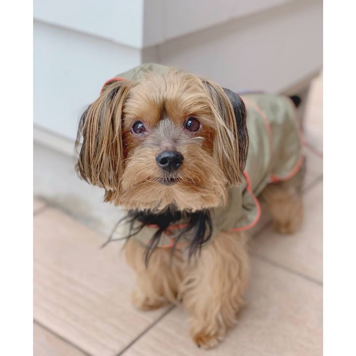 E01dde87 a5ac 4047 88d4 e132711790c0 1561343876087