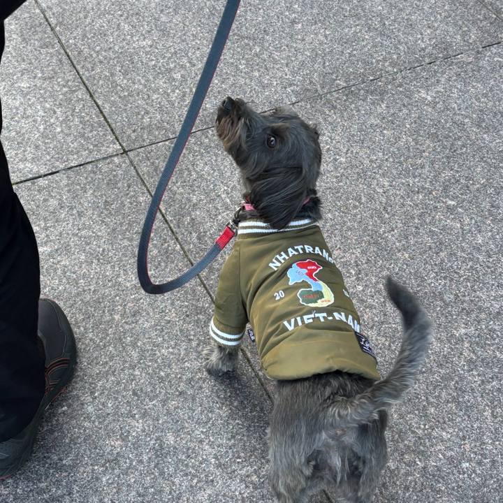 E01e5f5f 9e0d 49c1 9f36 42e34b897f19 1767825404293