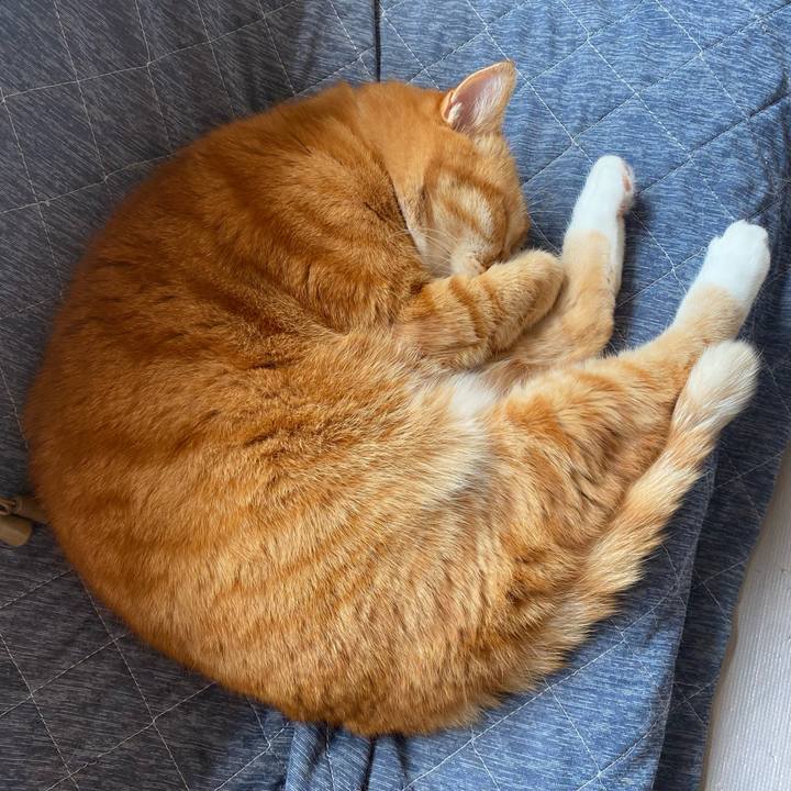 E01e8635 1040 4f0d ace9 37114245d910 1649823544503