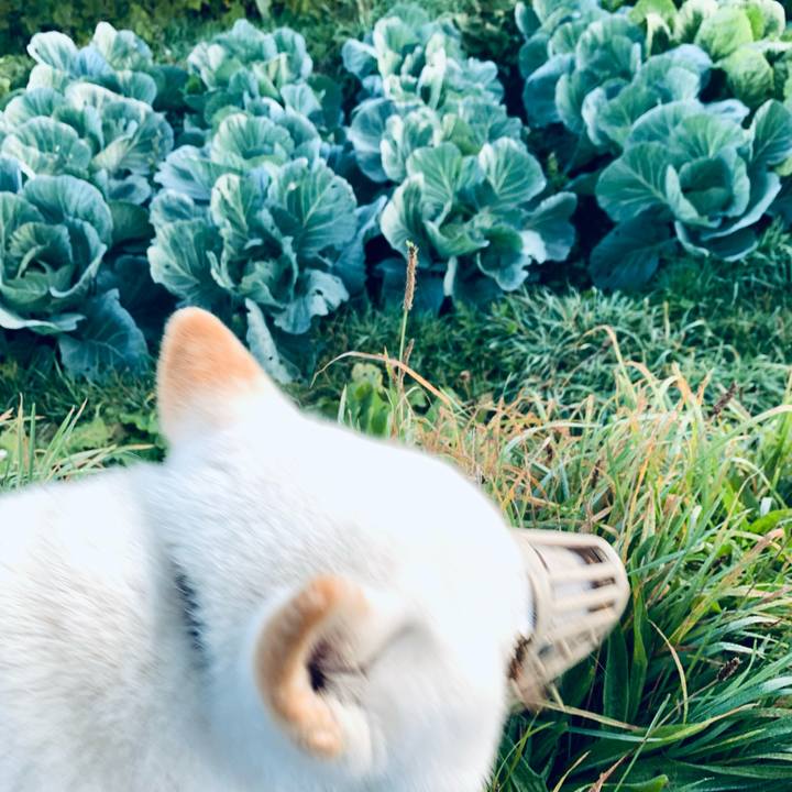 E01e8f5a 6306 4da4 905e e3b2284df7d7 1635113553927