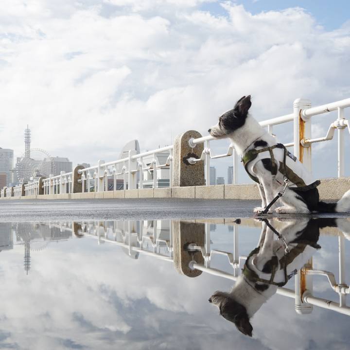 E01ec3ed 0ff0 4a03 a404 5d19f6da6689 1629327848680