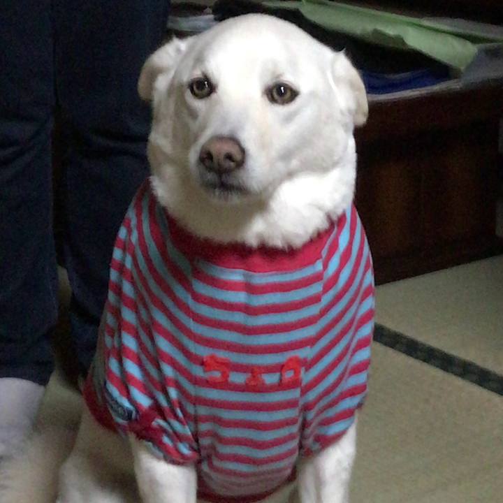 E01ef53d 59b2 4fa3 9fed 0e97f485d866 1513165523701