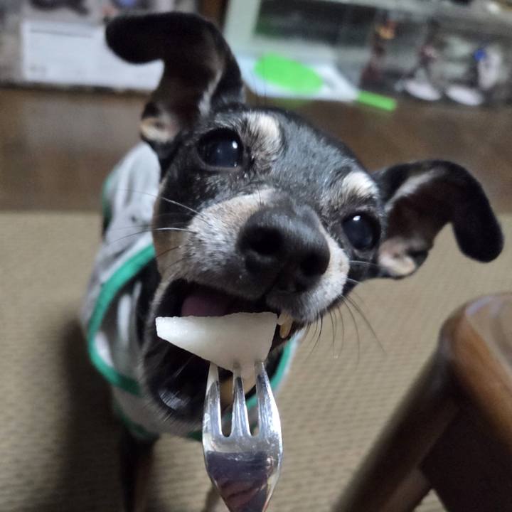 E01f0192 7bc4 4c3f 915c 976b6404ab02 1755084231292