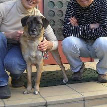 E01f1016 f26d 46d2 9c44 e50d4a12b0ad 1733528166369