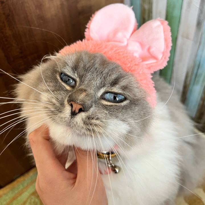 E01f7931 adf2 408e a7c3 20a3546330c8 1675571534440