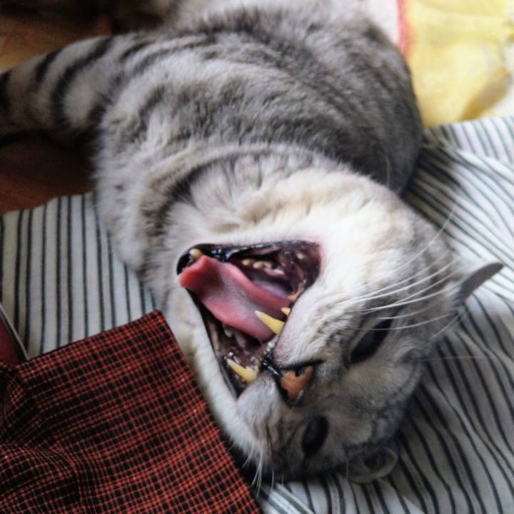 E01fb8ef 0084 4064 b538 b2a88c30e591 1642220938925