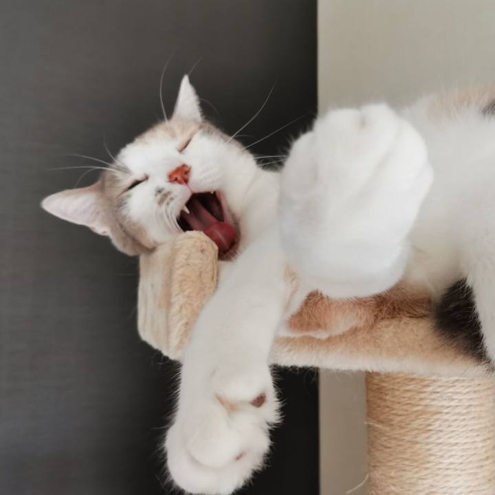 E01fba1d 7496 4a00 a0e1 9c4cba032a1a 1632297064396