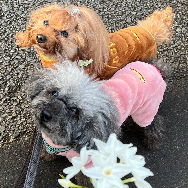 E01fc9bb fce5 4f3b 8108 24d081cb107e 1675036568296