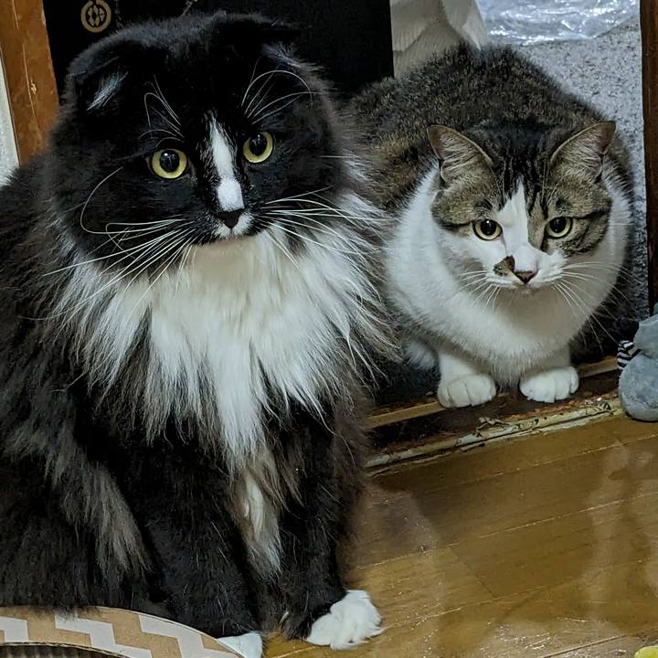 E01fecb6 e039 4473 8d78 f39819c3043b 1679572243896