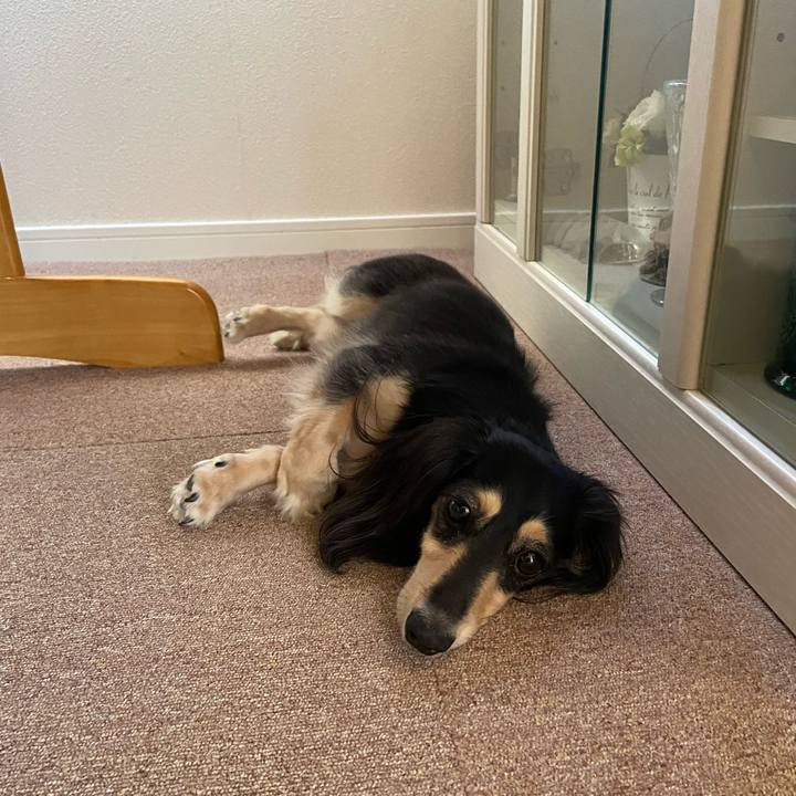 E01fff96 7935 4d7e a739 91ec67320572 1751869528520