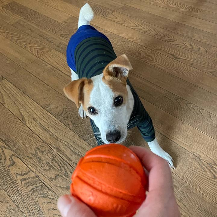 E0201144 4d92 4cdc 829a cf02bd458dfe 1611451834679