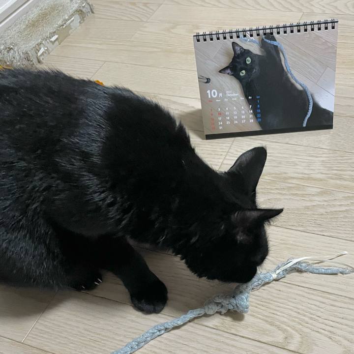 E0201ee4 78dc 4982 a412 ccc544d208bf 1667222763288