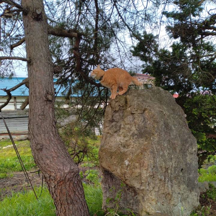 E020476f 1225 410e a4a2 c9a2c97bba73 1682544644365