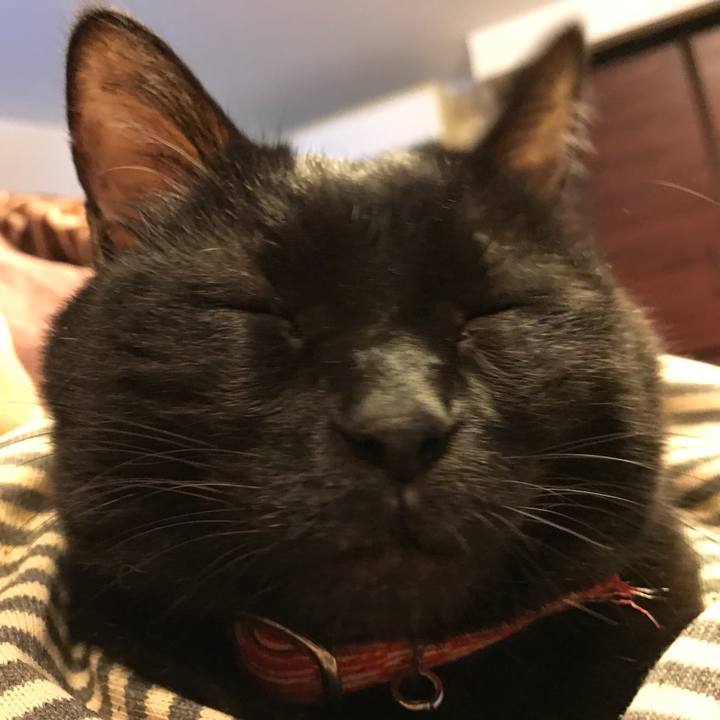 E02059c5 89f3 4cd5 a150 20520803145b 1511975693990