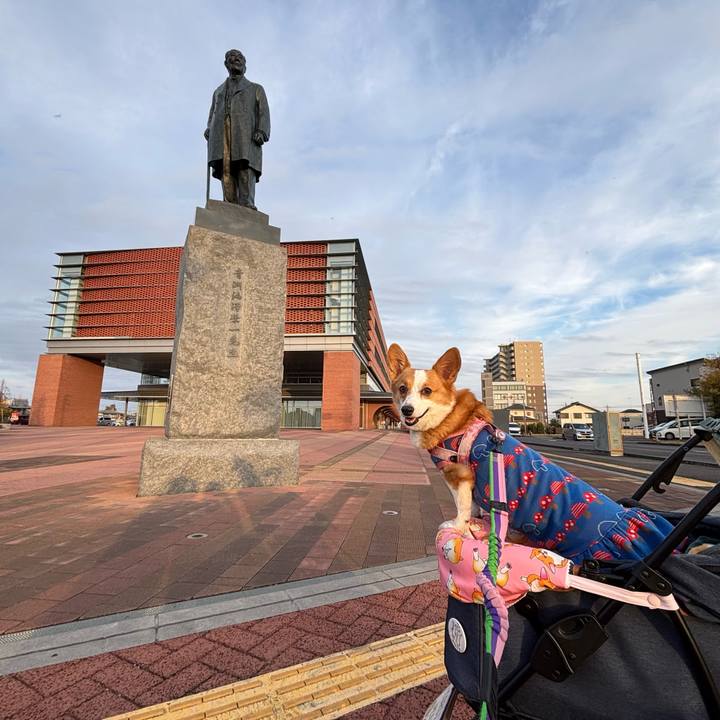 E0206ca2 1b79 42bb adc4 4f1d1bd4766c 1763895521506