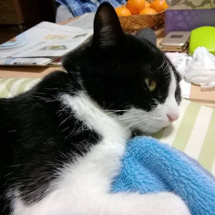 E0207ad8 8f17 4961 8ffd be18ee126ac8 1607918714101