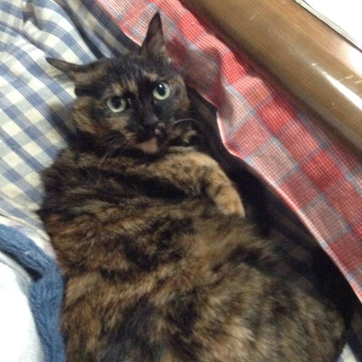 E02083b3 65c7 4faf ac4a aa4514e81db1 1522536129649