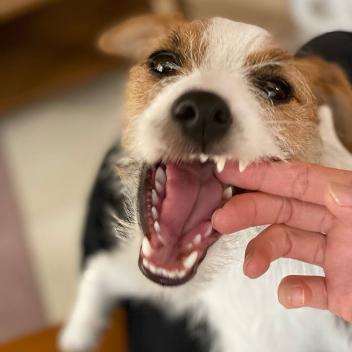 E020b3fa d784 48d3 bdf3 7f64a5570f15 1635057606956