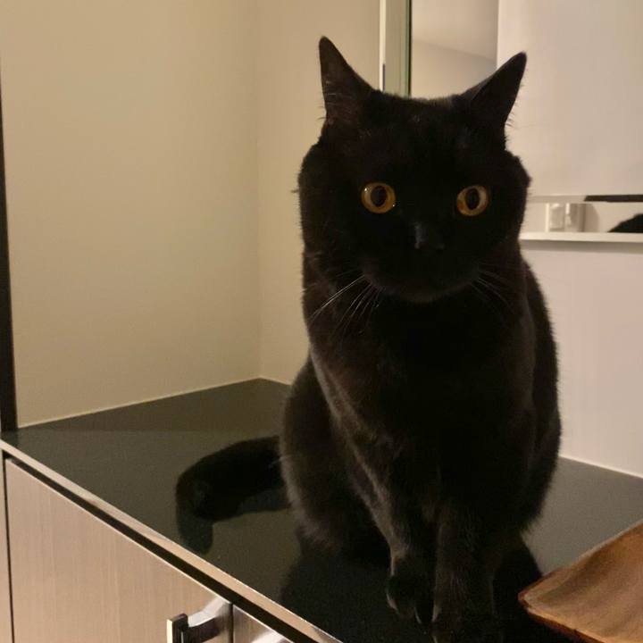 E020f282 b59c 42bd 8bde 01f745f3b2f9 1620431719117