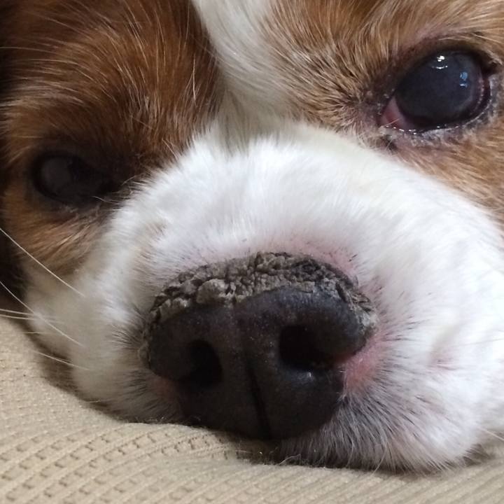 E020f7e6 2d58 4286 aac5 186e90c5dcde 1523398307133