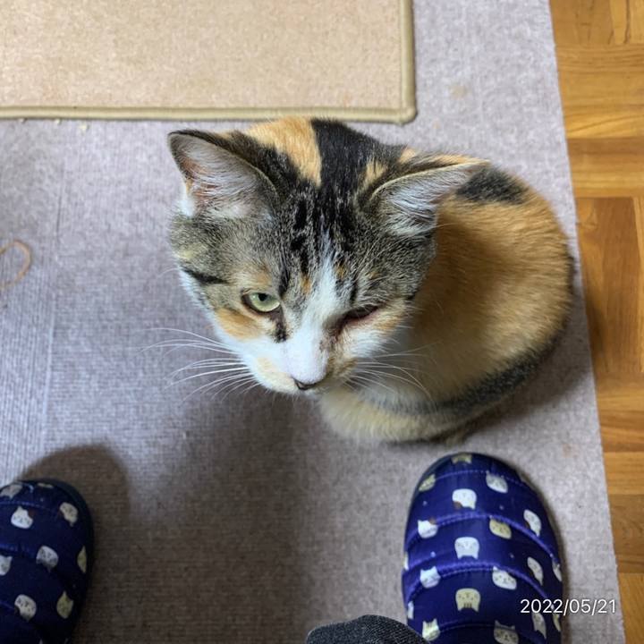 E021002b 3fb8 4167 8255 a3d5bc2b3597 1653100701118