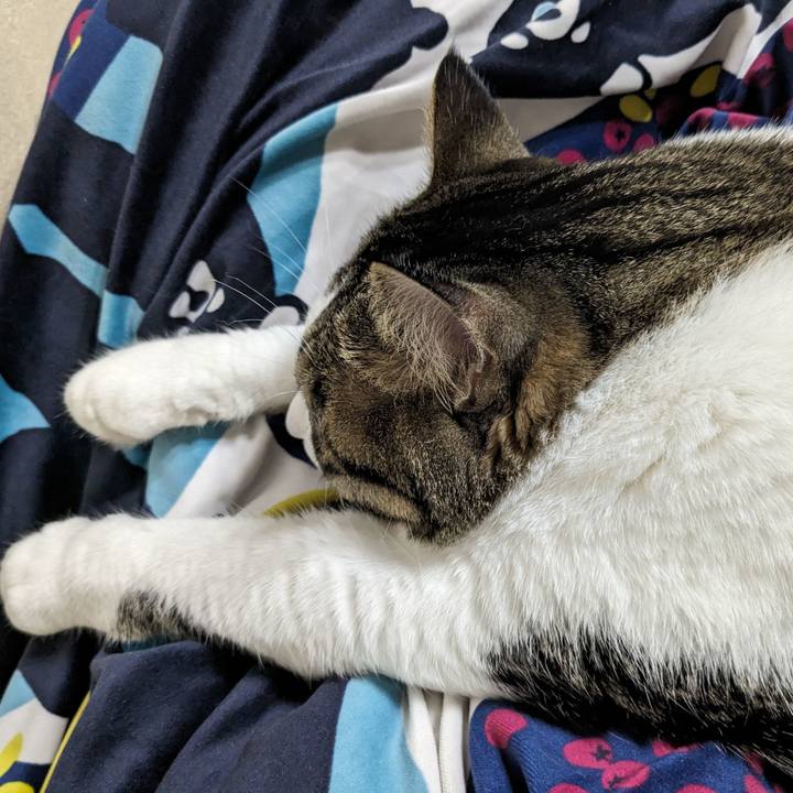 E0210abf d602 4cb4 a959 600fb9b58f59 1691914046723