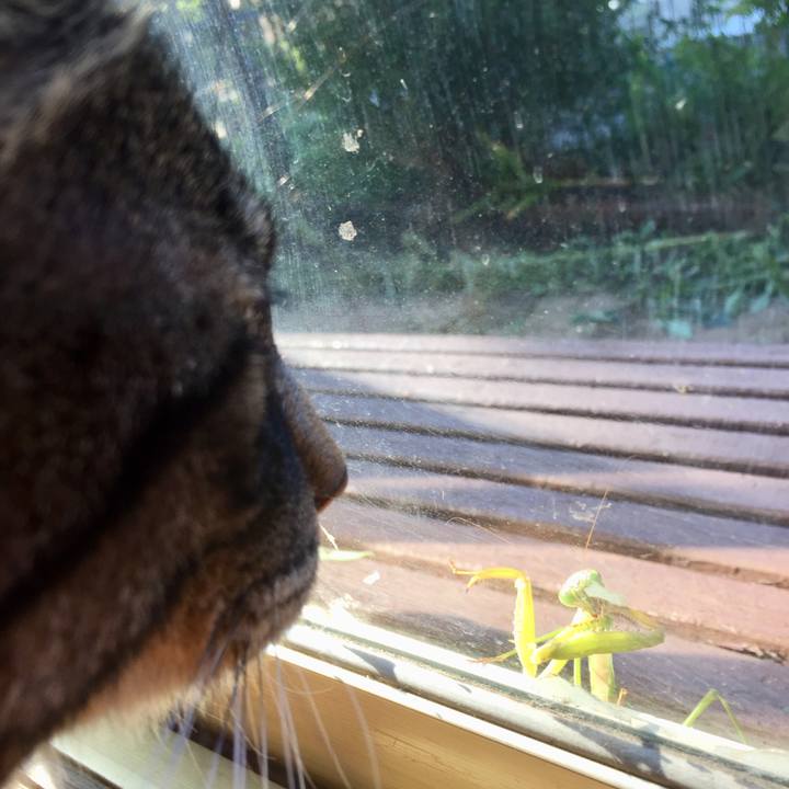 E021295e 721b 4a02 b469 a4e67cc44176 1572261995731