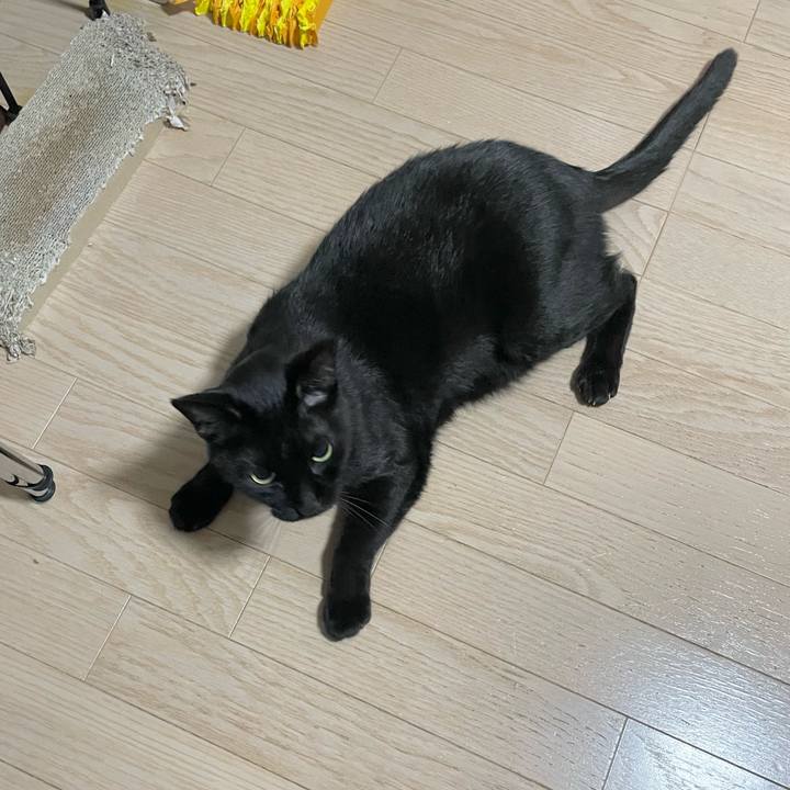 E0213940 c145 4972 848f f58ed9865681 1731672998322