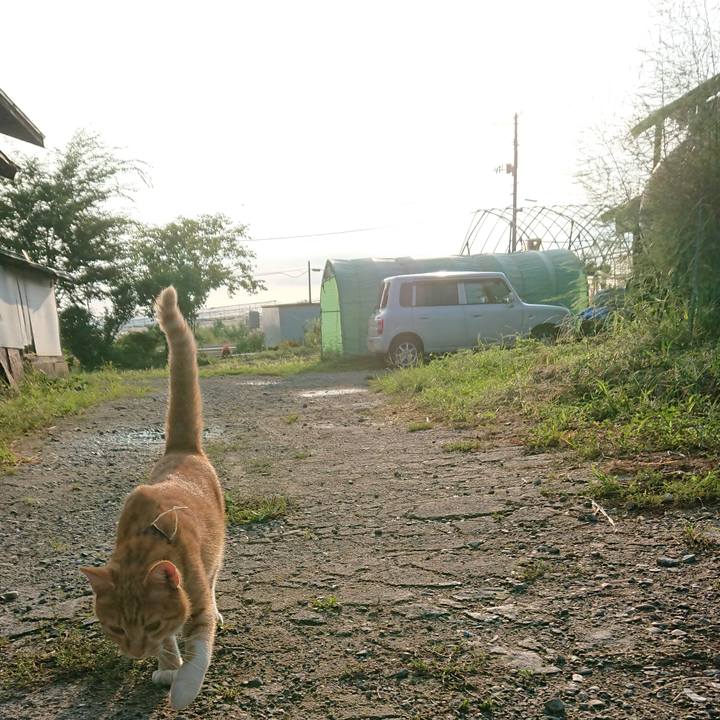 E0217c21 5636 4ea2 bed7 61e621d5b7b1 1568065817809