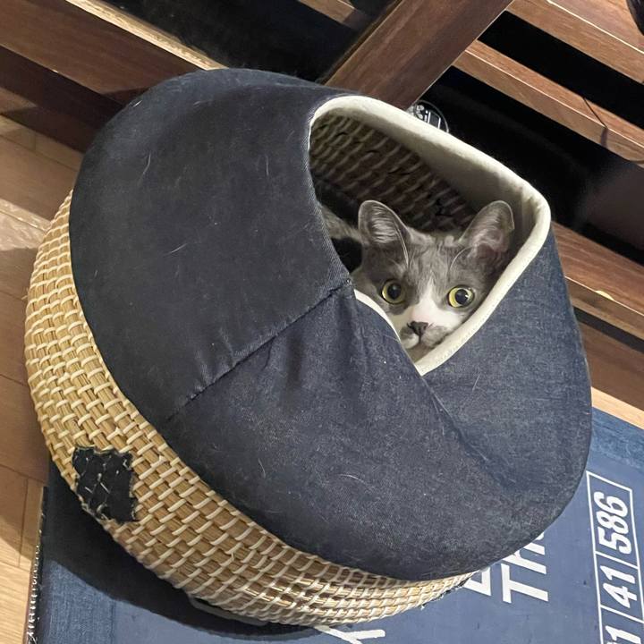 E021bba0 ccfd 4af8 94b6 154f1c0386a5 1713870316888