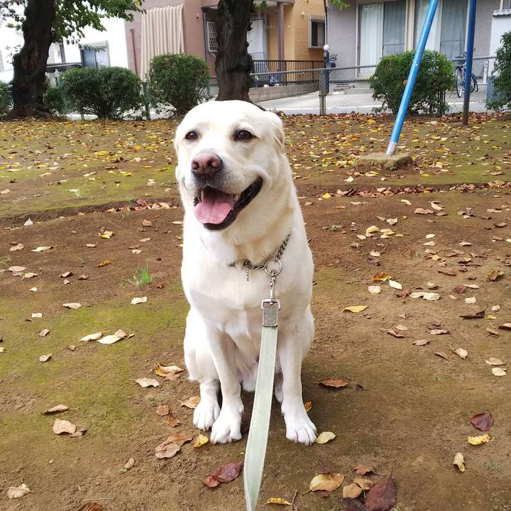 E021d70f 499a 40bf a7f9 018a7c873325 1567674416405