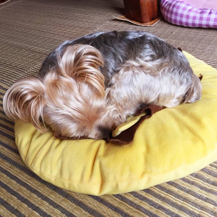 E021f8a0 e7bc 41c1 b5e4 b57ad7899d5d 1536538104135