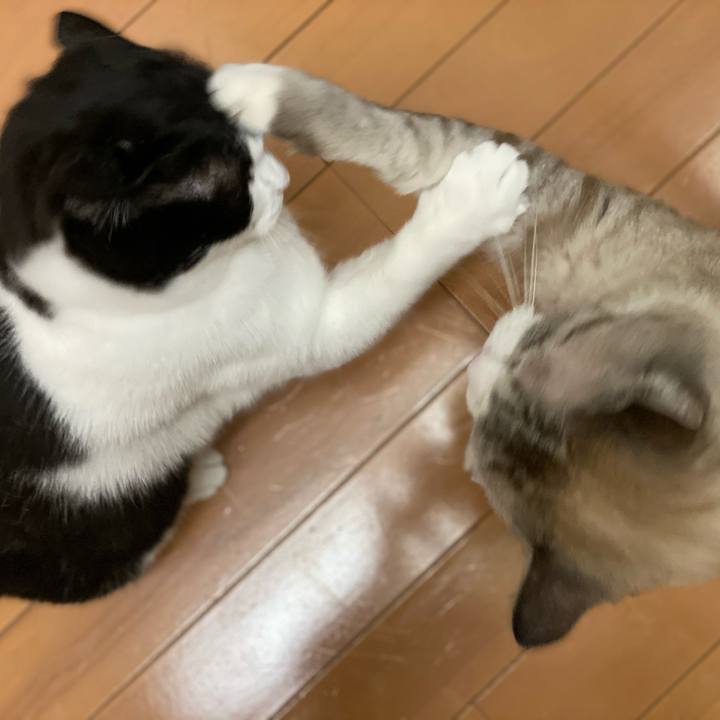 E0220f17 cb04 4f57 a5b2 a949fe77162a 1609840793066