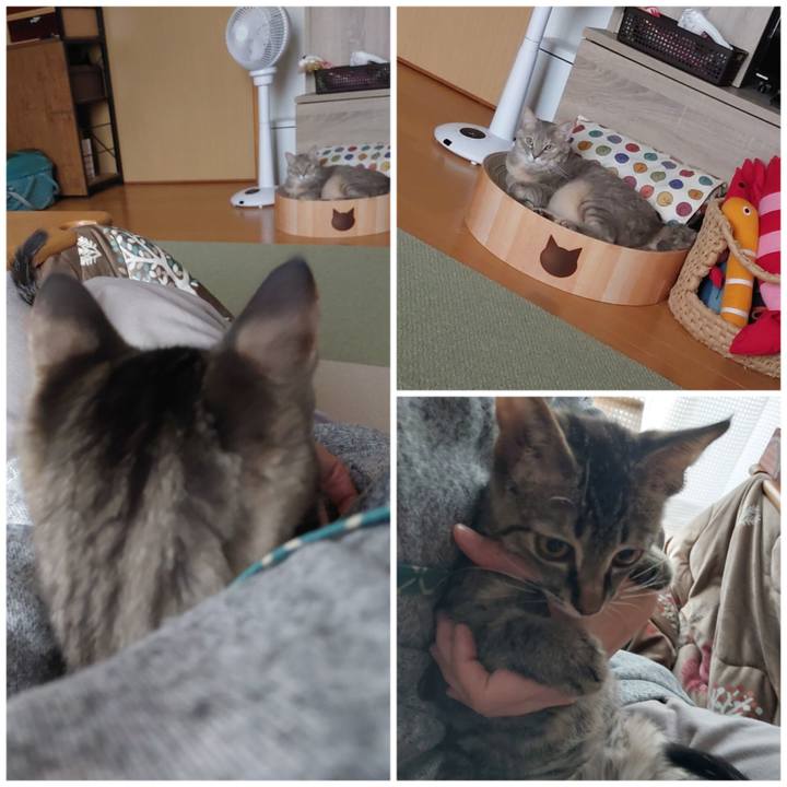 E022199e bbd5 4397 87b8 3fff5f122a60 1702875154573