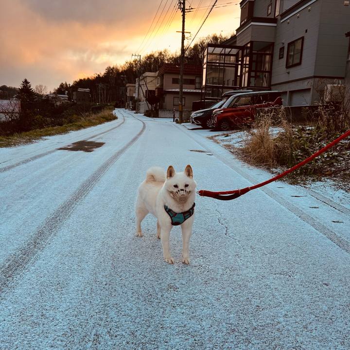 E0223507 0621 4fff 99ed 6abe0d167d9b 1731880855548