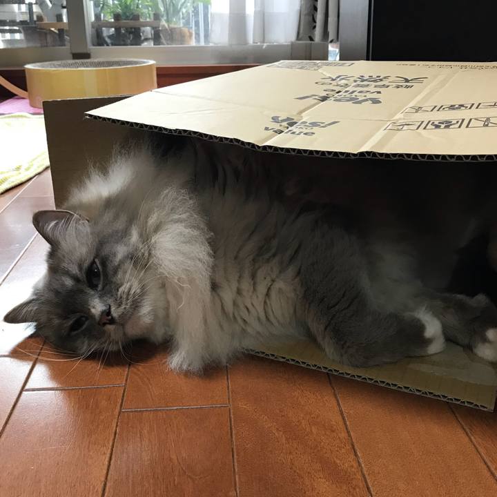 E022a50a 5d64 4a62 bbf9 d807feb5a9c6 1524792495500