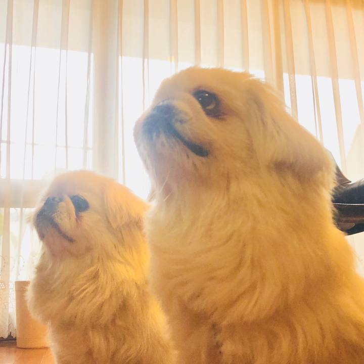 E022ae91 119b 4009 9d23 6c65c0db523d 1583399453437