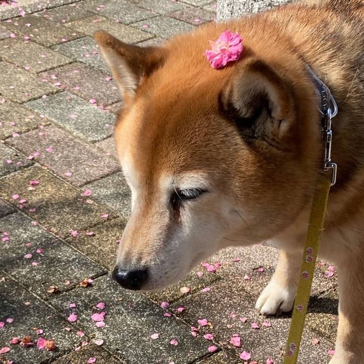 E022bf05 c3c2 4844 8ad3 5271d0020b57 1646274910652