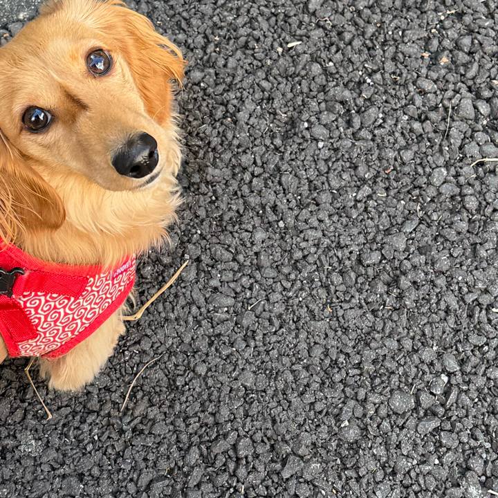 E022cb10 b118 48c2 b5c1 4112503a07d3 1742479591461