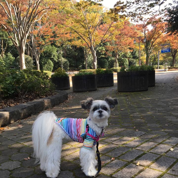 E022e824 96fc 4911 808b 3274fea5cd23 1541796125116