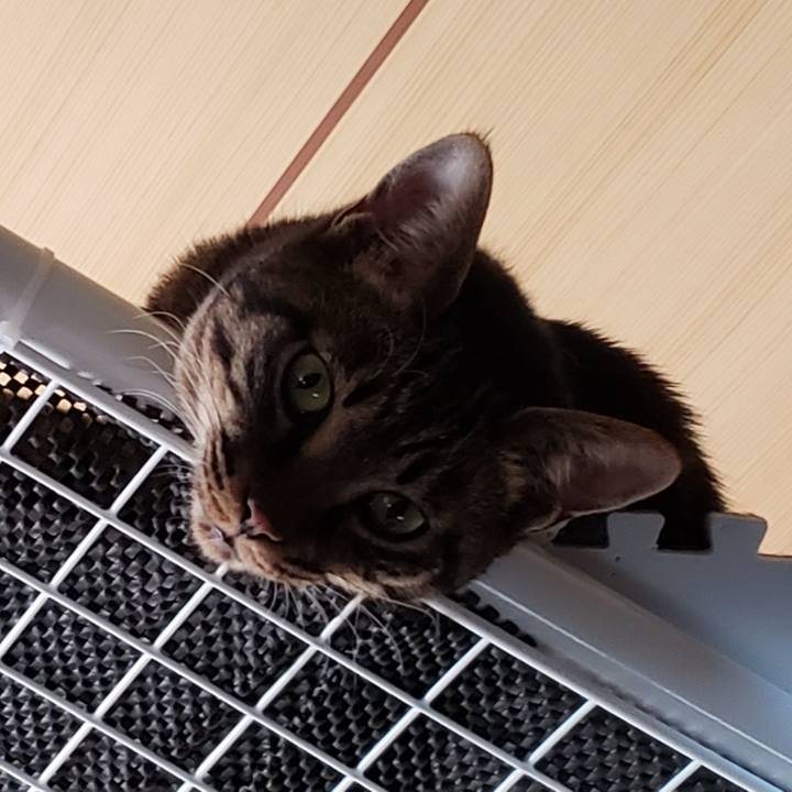 E023071a 806a 4660 a9f3 f14b87899341 1555939594875