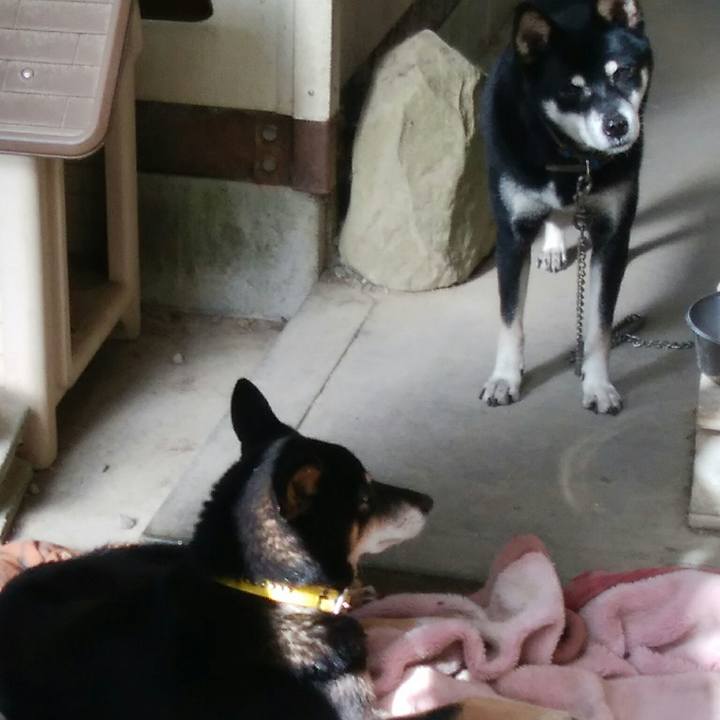 E02308da 1651 45ba b212 85cd7babb9a7 1542417117604