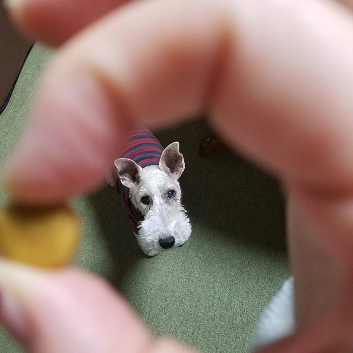 E02329f2 c6a8 4afb b8a8 f326de3c99a6 1552917767576