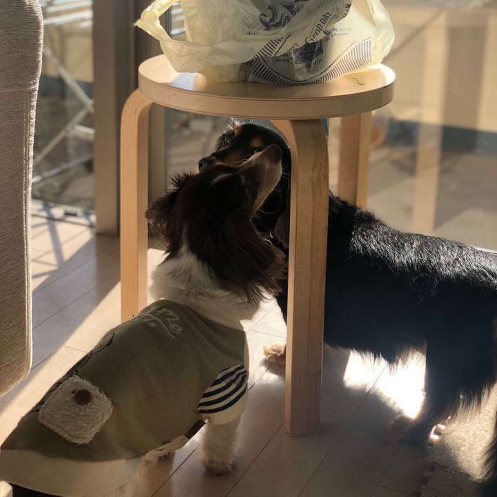 E0233e76 2deb 45b5 a09c 160294099502 1614640201572