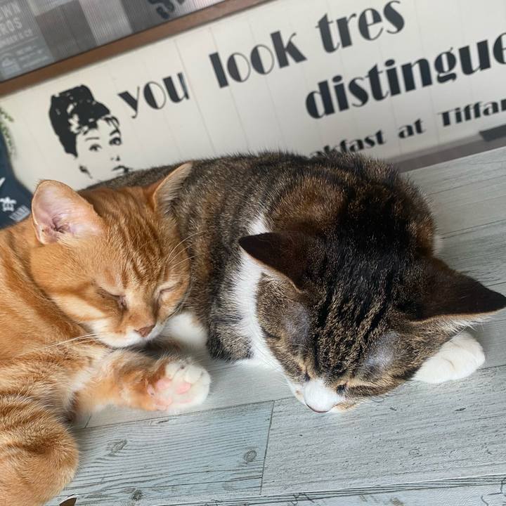 E023cb27 88e5 4d30 a839 305a12292e41 1622898348871